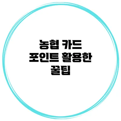 농협 카드 포인트 활용한 꿀팁