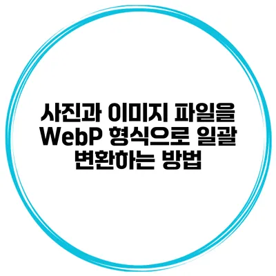 사진과 이미지 파일을 WebP 형식으로 일괄 변환하는 방법